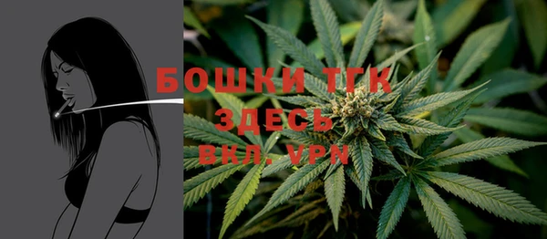 кокс Касимов