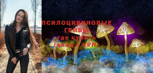 2c-b Кинешма