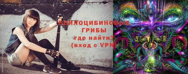 кокс Козловка