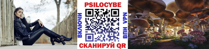 blacksprut ССЫЛКА  Покровск  Галлюциногенные грибы Magic Shrooms  где продают наркотики 